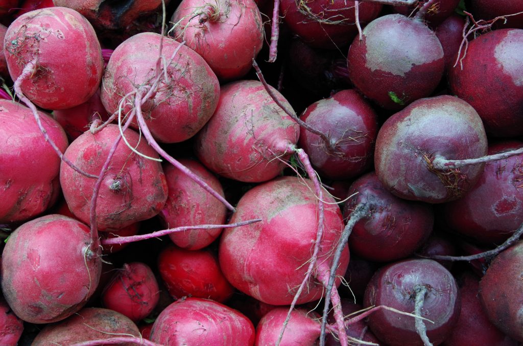 Red and purple beets piled for market close-up
