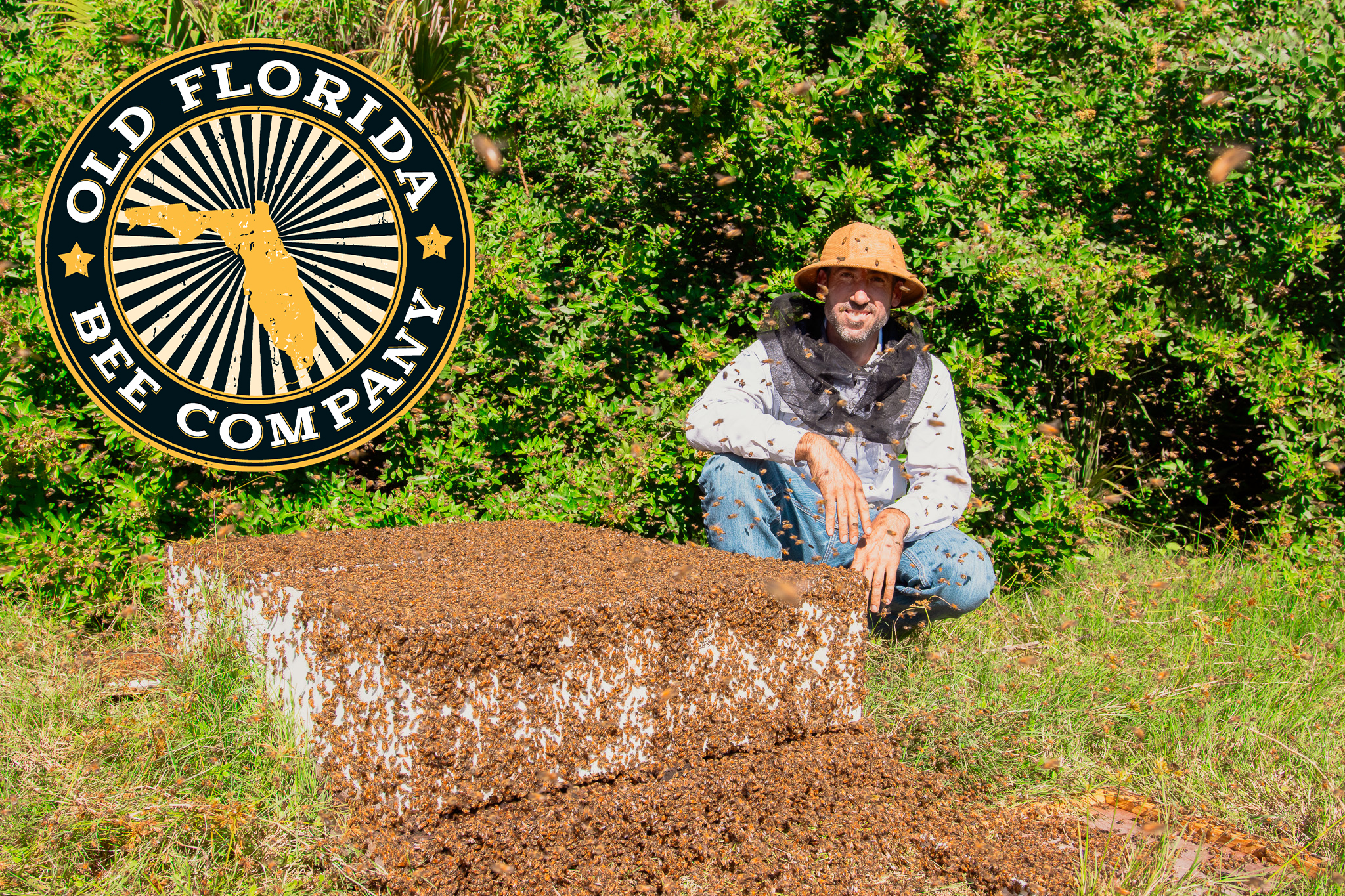 old florida bee company